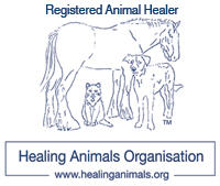 Healing Animals Organisation